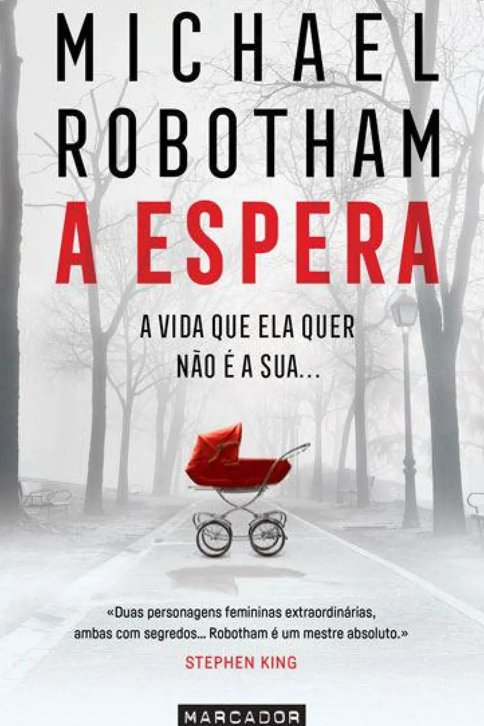 Marcador Policial > A Espera de Michael Robotham