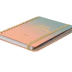 Discount Mr. Wonderful Agenda Office 24/25 Semanal Grande - Muitas Conquistas para Celebrar