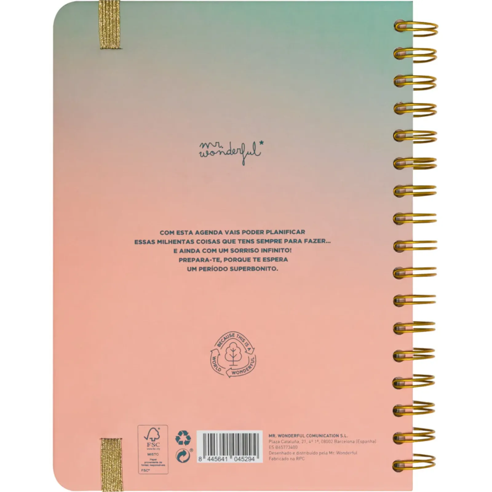 Discount Mr. Wonderful Agenda Office 24/25 Semanal Grande - Muitas Conquistas para Celebrar