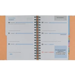 Best Mr. Wonderful Agenda Office 24/25 Semanal - Vai Correr Tudo Melhor que Bem