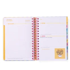 Discount Mr Wonderfull Agenda Wonder 25-26 Diária Mais E Melhor