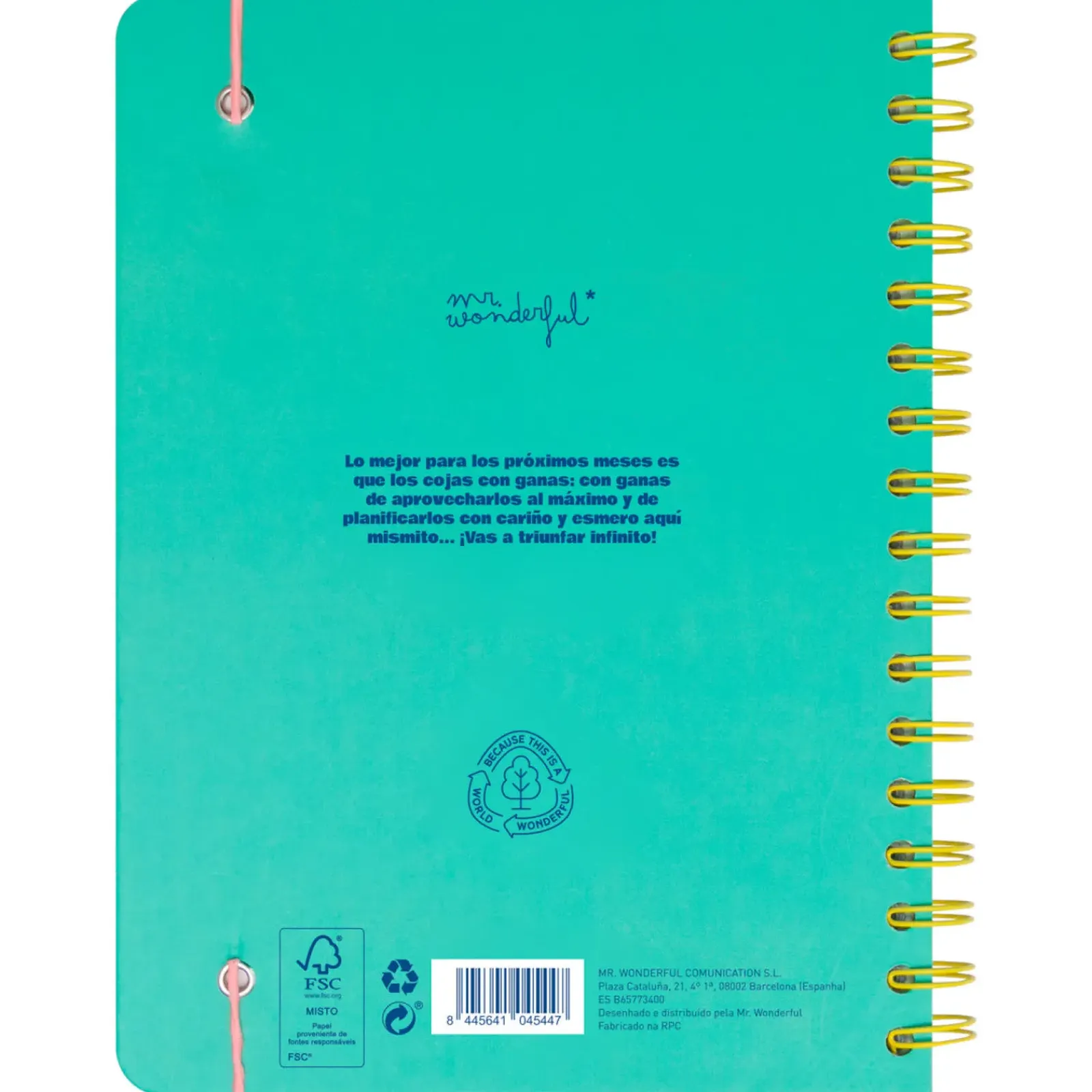New Mr. Wonderful Agenda Wonder 24/25 Semanal Grande - Ready Para Celebrar Tudo o que Vou Alcançar