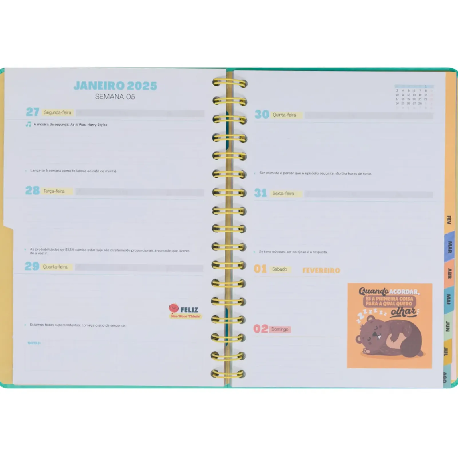 New Mr. Wonderful Agenda Wonder 24/25 Semanal Grande - Ready Para Celebrar Tudo o que Vou Alcançar