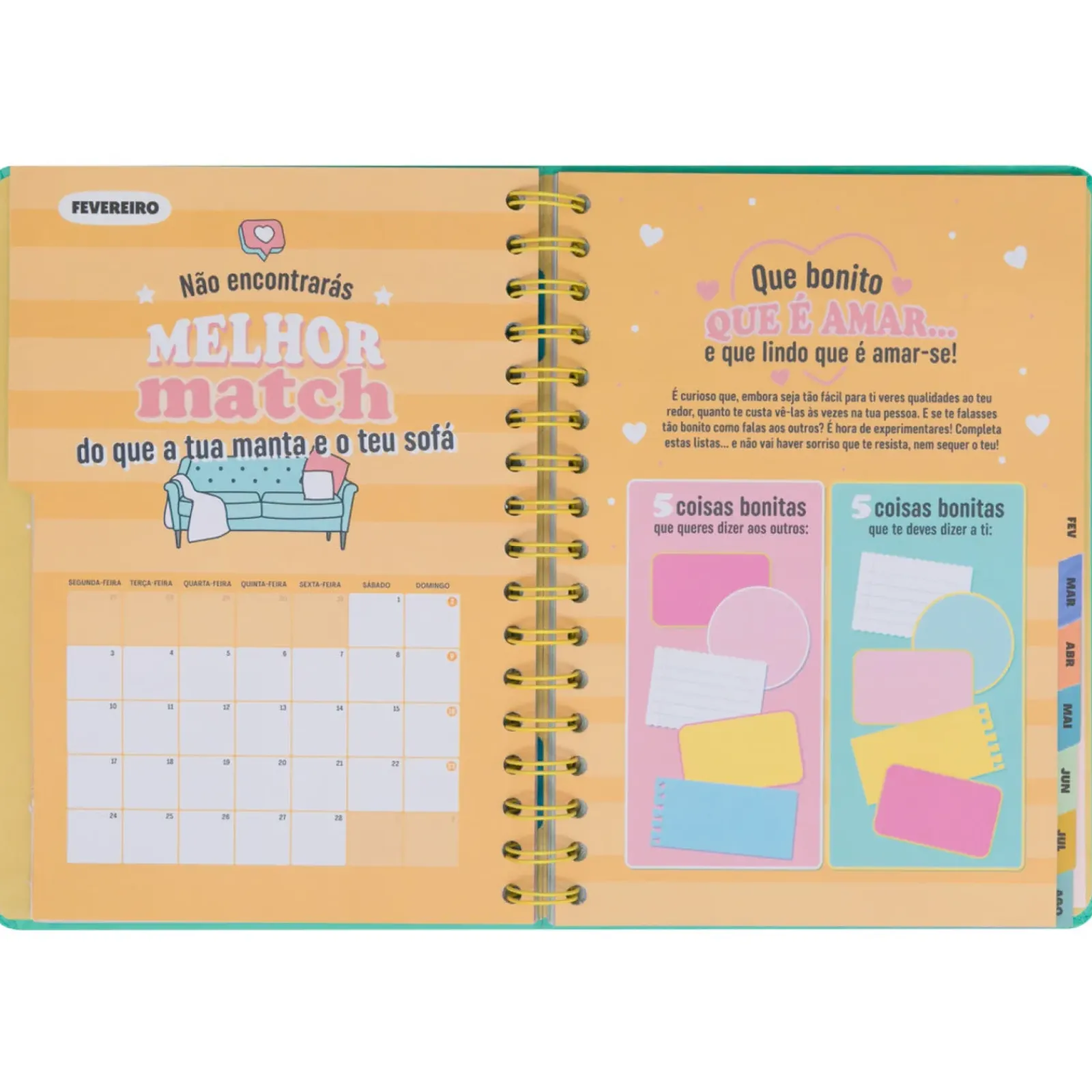 New Mr. Wonderful Agenda Wonder 24/25 Semanal Grande - Ready Para Celebrar Tudo o que Vou Alcançar