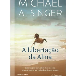 Nascente Espiritualidade > A Libertação da Alma de Michael Singer
