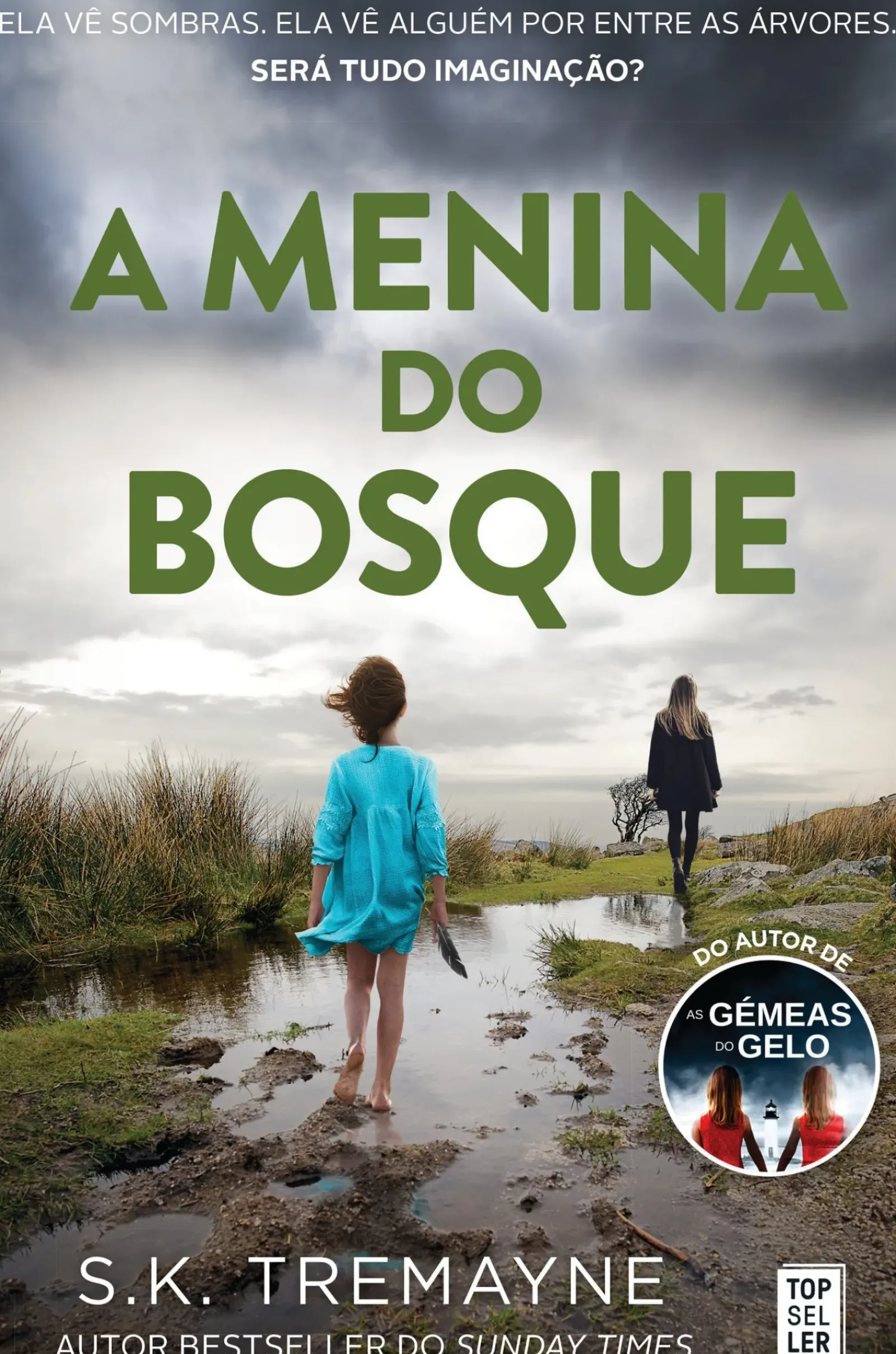 Topseller A Menina do Bosque de S. K. Tremayne - (2ª Edição)