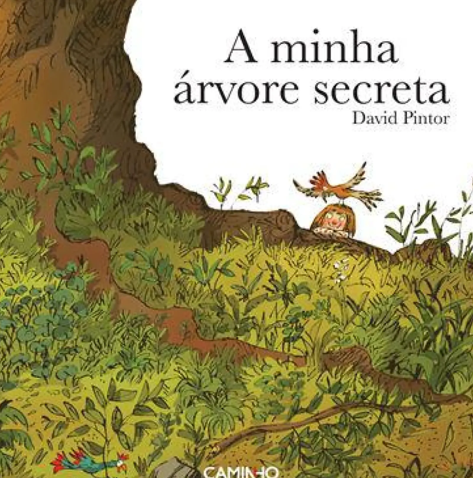 Editorial Caminho Literatura Infantil > A Minha Árvore Secreta de David Pintor