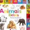 Texto Editora Bebé > Animais Bebés: Vamos Encontrar! de DK