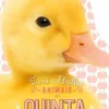 Jacarandá Bebé > Animais da Quinta - Toca e Brilha