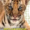 Outlet Jacarandá Animais Selvagens - Toca e Brilha