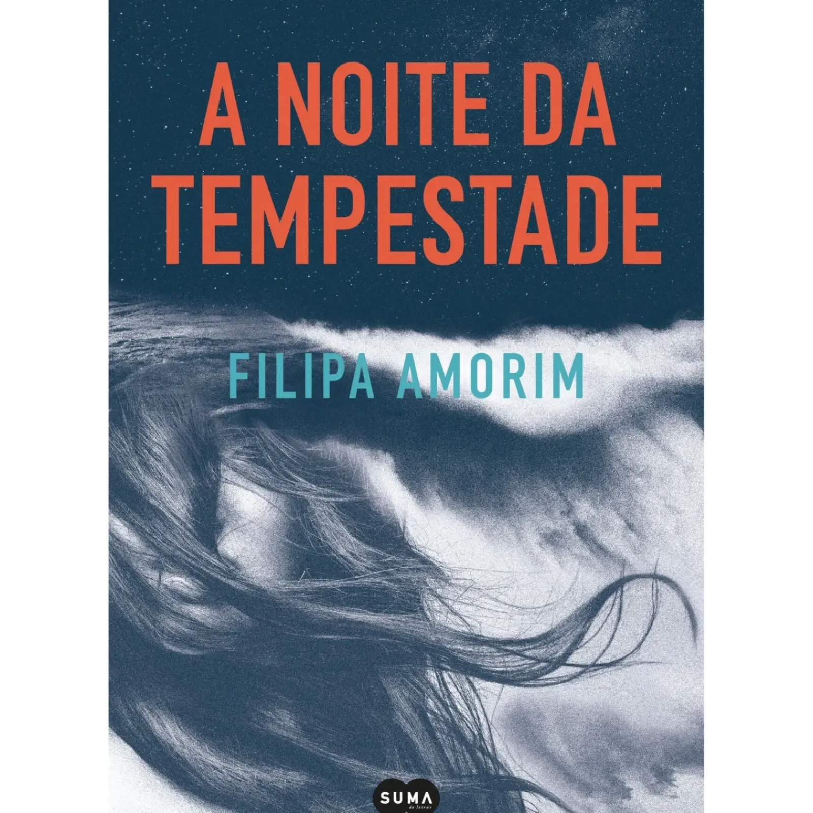 Suma De Letras Policial > A Noite da Tempestade de Filipa Amorim