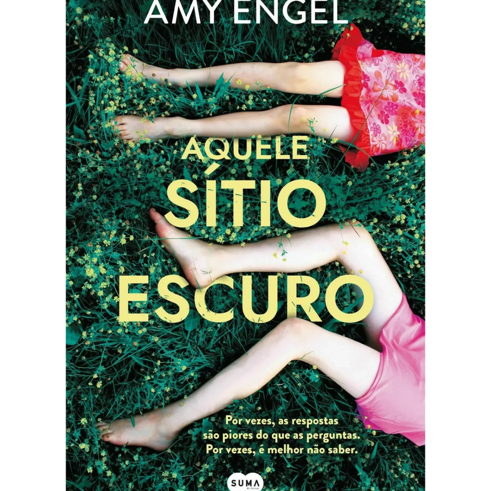 Suma De Letras Policial > Aquele Sítio Escuro de Amy Engel