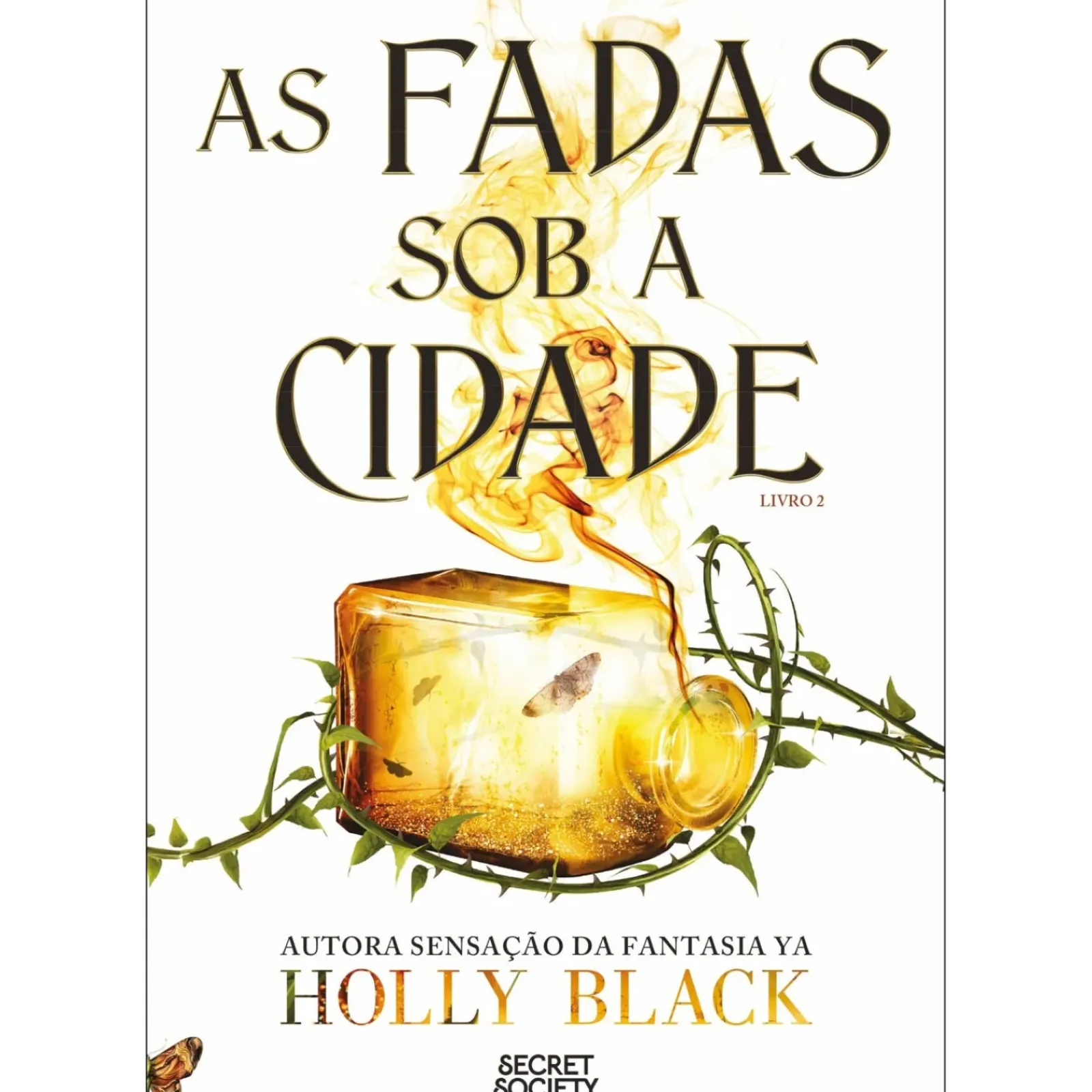 Secret Society Fantástico > As Fadas Sob A Cidade de Holly Black