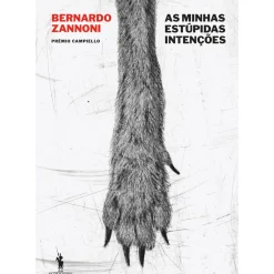 Clearance Dom Quixote As Minhas Estúpidas Intenções de Bernardo Zannoni