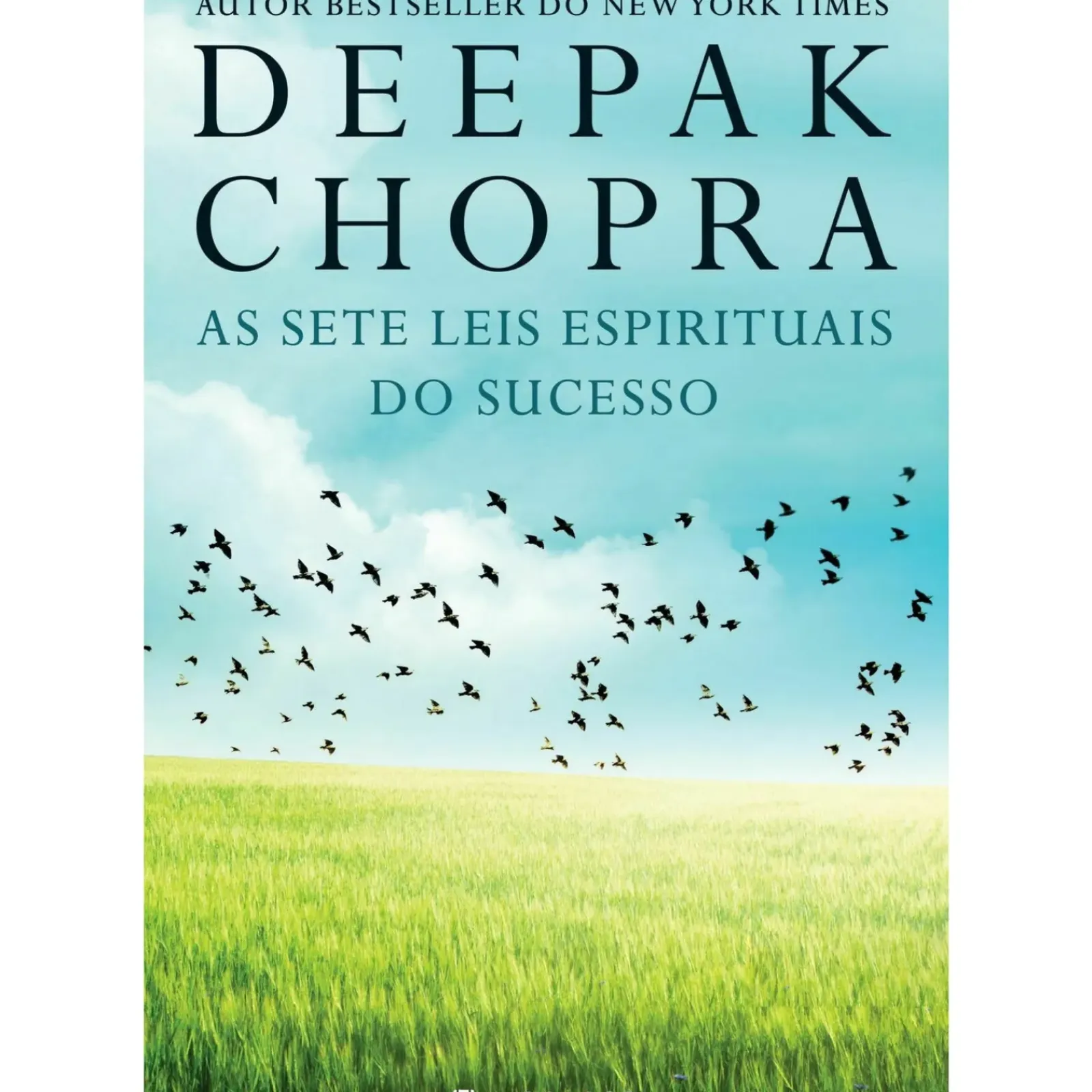 Marcador Espiritualidade > As Sete Leis Espirituais do Sucesso de Deepak Chopra