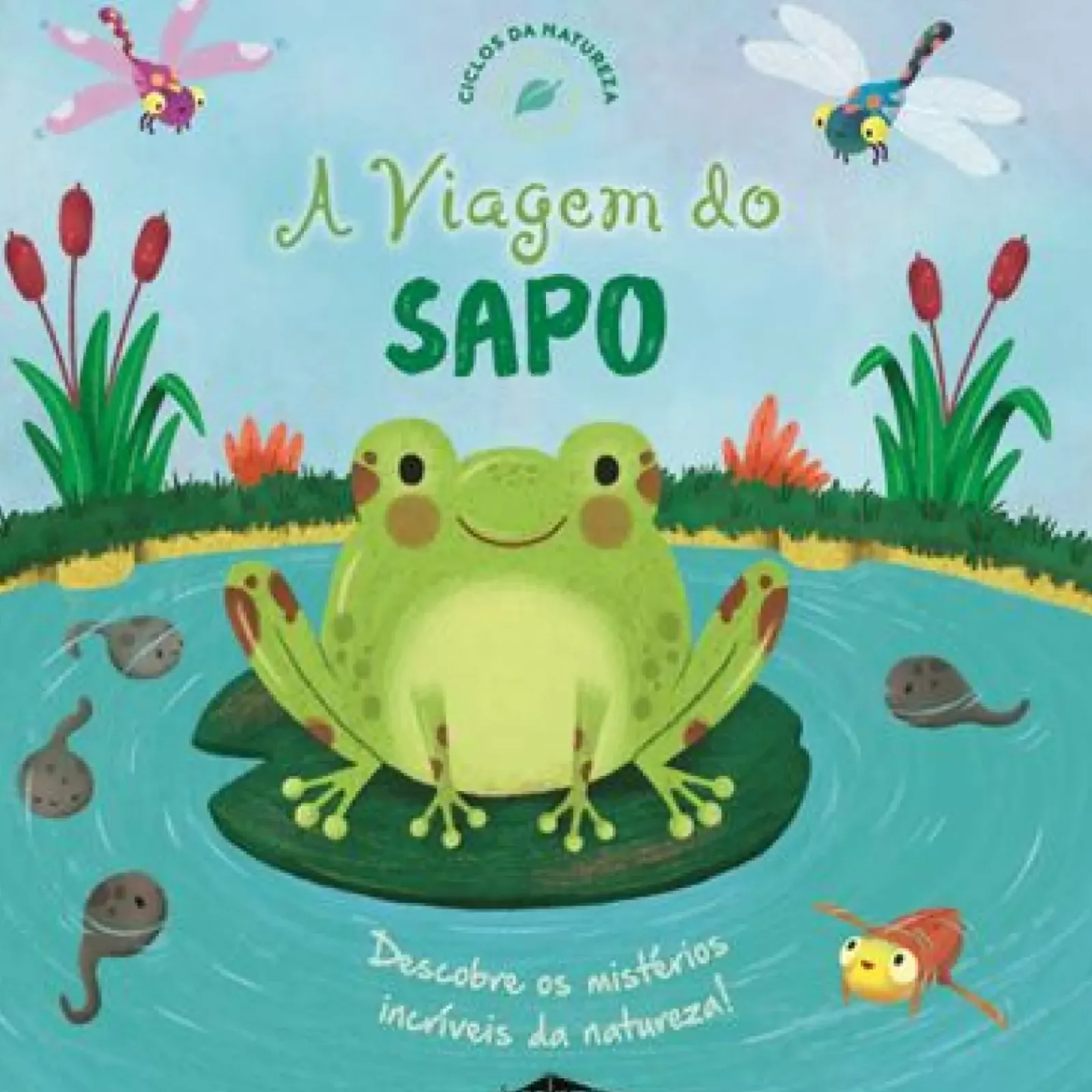 Outlet Booksmile 4 A Viagem do Sapo de Wednesday Jones