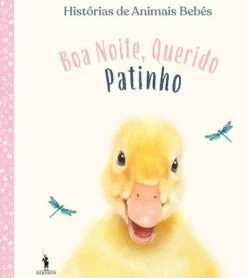 Sale Dom Quixote Boa Noite, Querido Patinho de Vários Autores