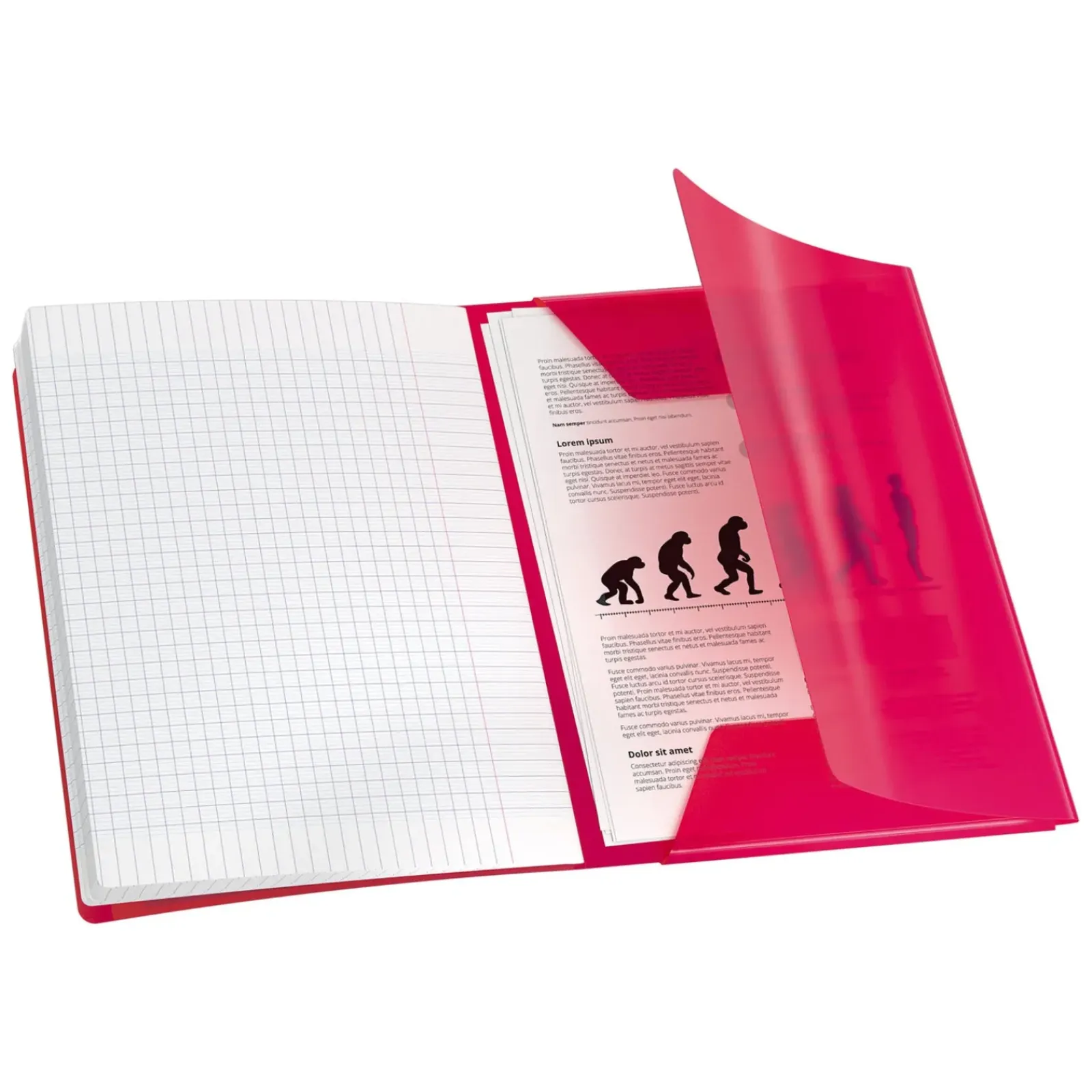 Oxford Cadernos E Recargas > Caderno Agrafado A4 Quadriculado Easybook Sortido 3Em1