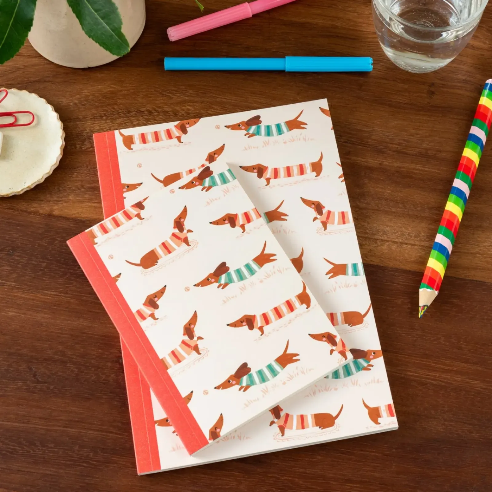 Rex Cadernos E Blocos > Caderno A5 - Sausage Dog