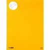 Pap Fernandes Papéis Especiais > Caderno Desenho Cavalinho A2 24 Folhas 125G