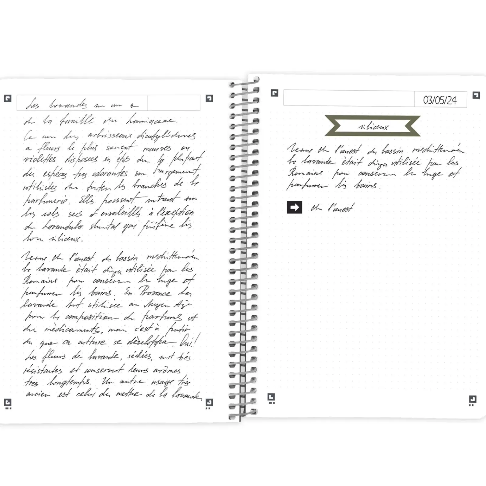 Clearance Oxford Caderno Espiral A5 Dots