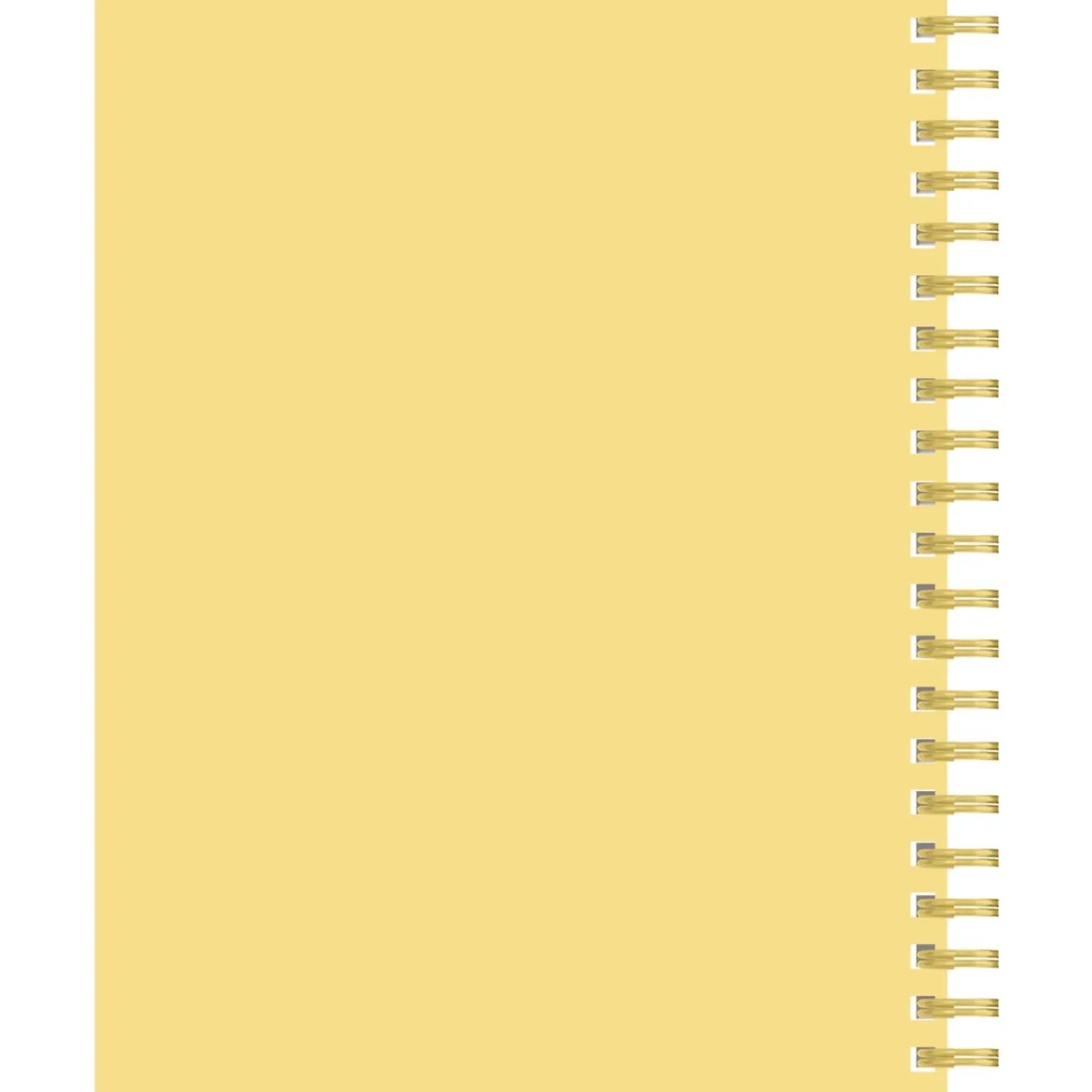 Note! Cadernos E Recargas > Caderno Espiral A4 80 Folhas 70G Pautado Pins