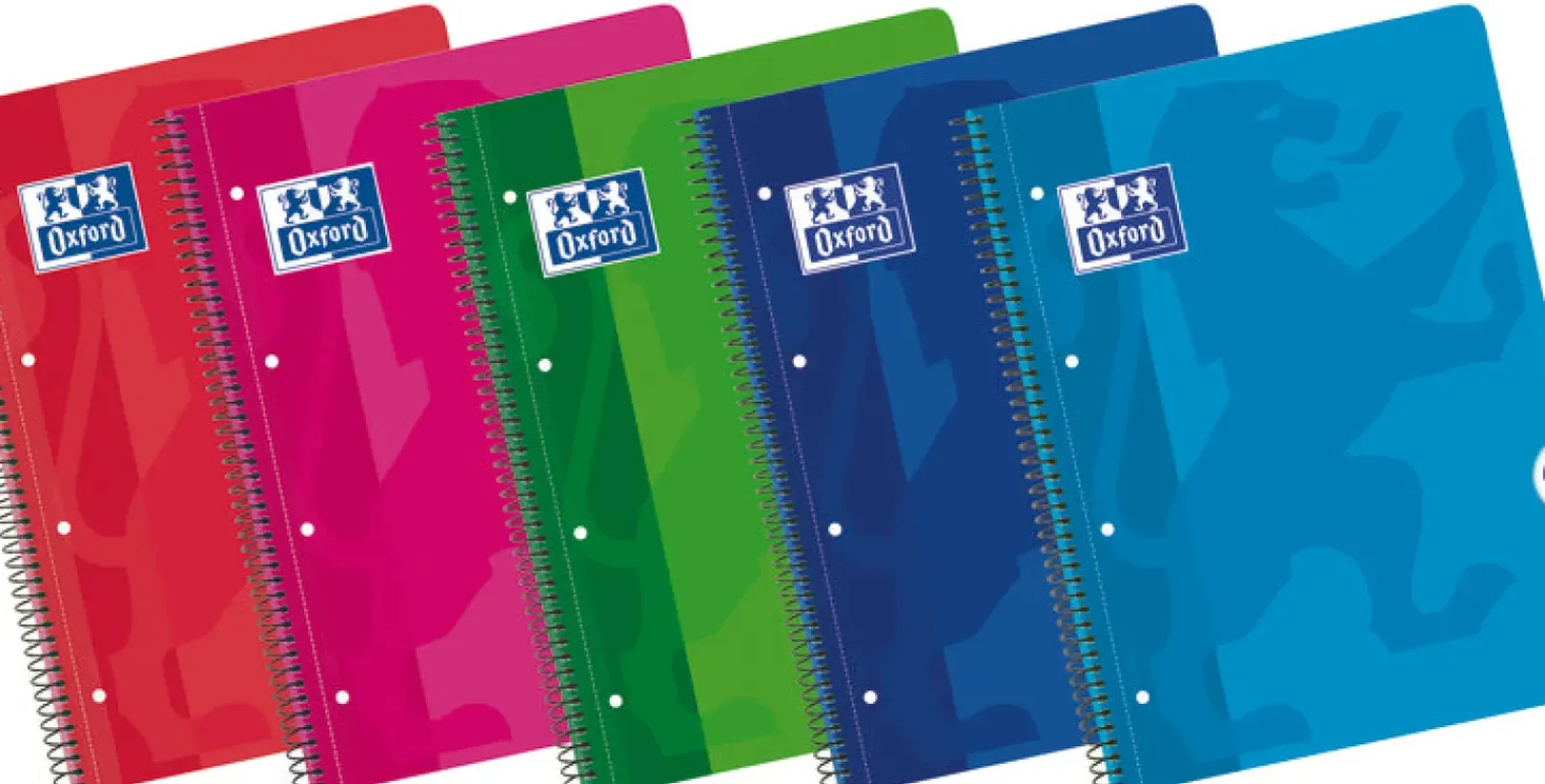 Oxford Cadernos E Recargas > Caderno Espiral A4 Pautado 50 Folhas Sortido