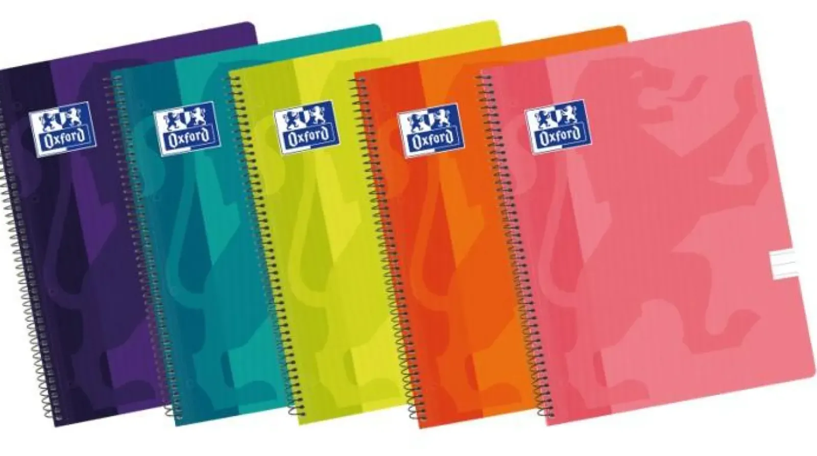 Oxford Cadernos E Recargas > Caderno Espiral Flex A4 Pautado (várias cores)