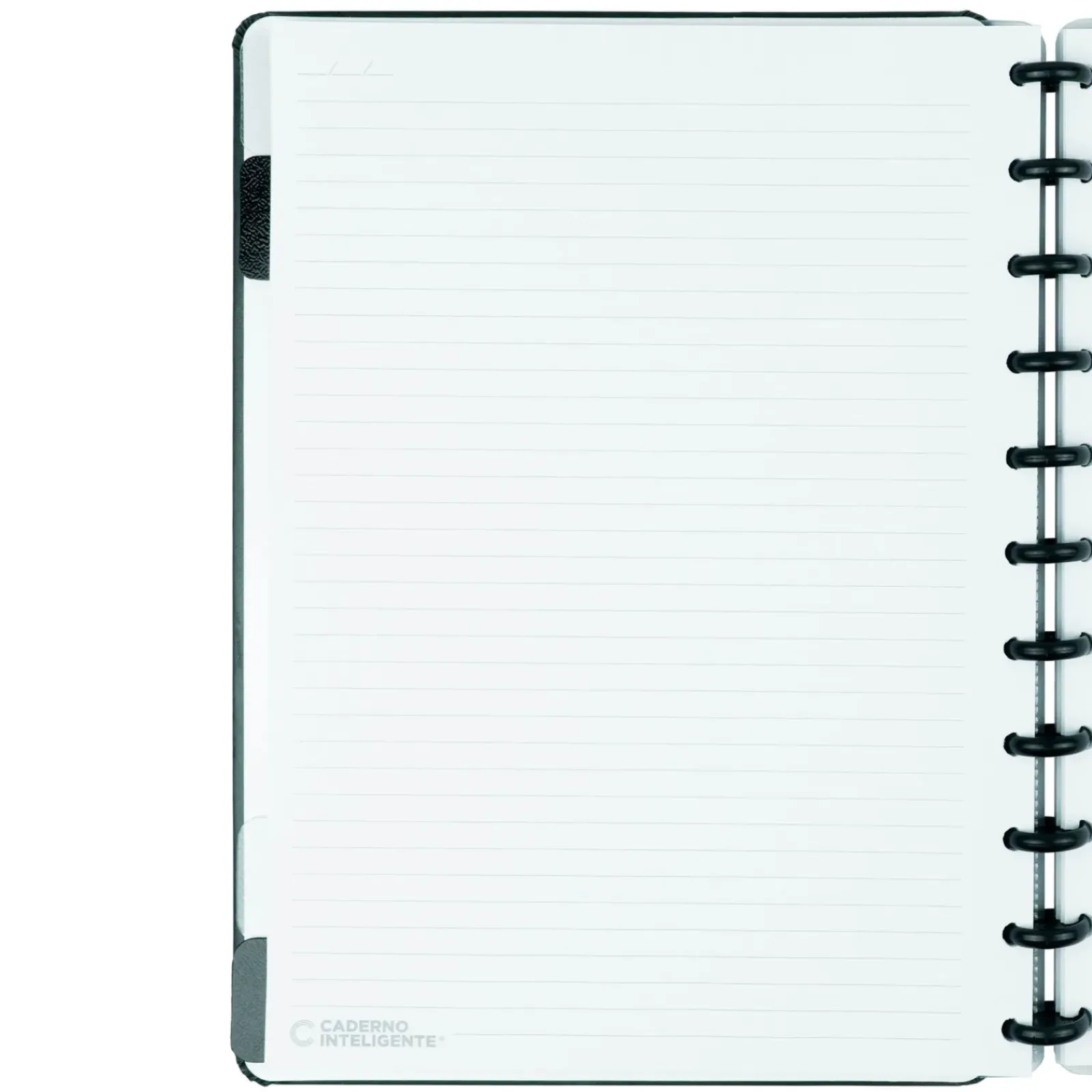 Caderno Inteligente Cadernos E Recargas|Cadernos De Disco > Grande Dark Green