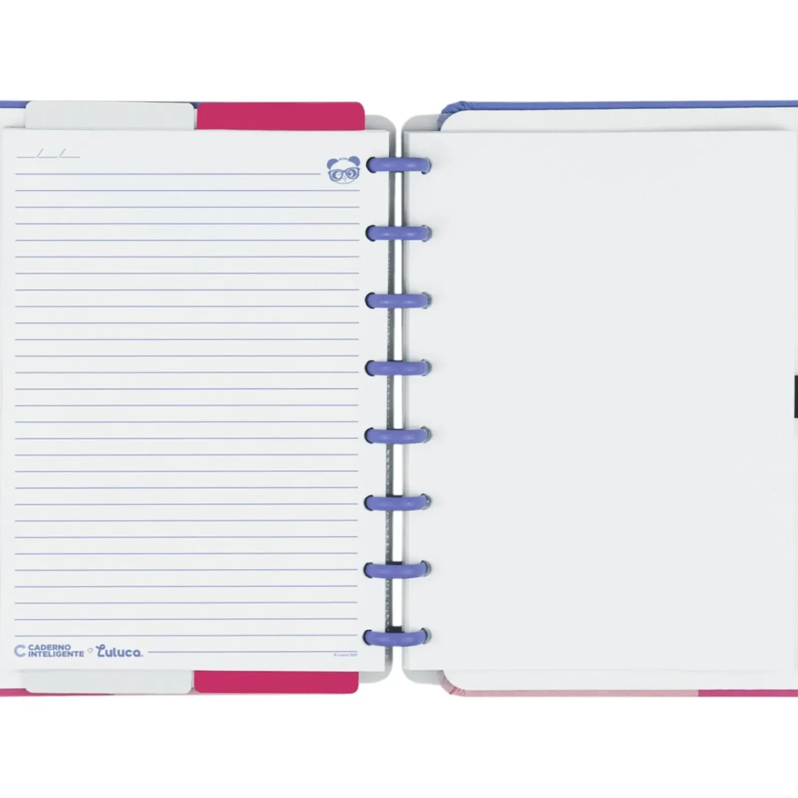 Caderno Inteligente Cadernos E Recargas|Cadernos De Disco > Grande Pandalu by Luluca
