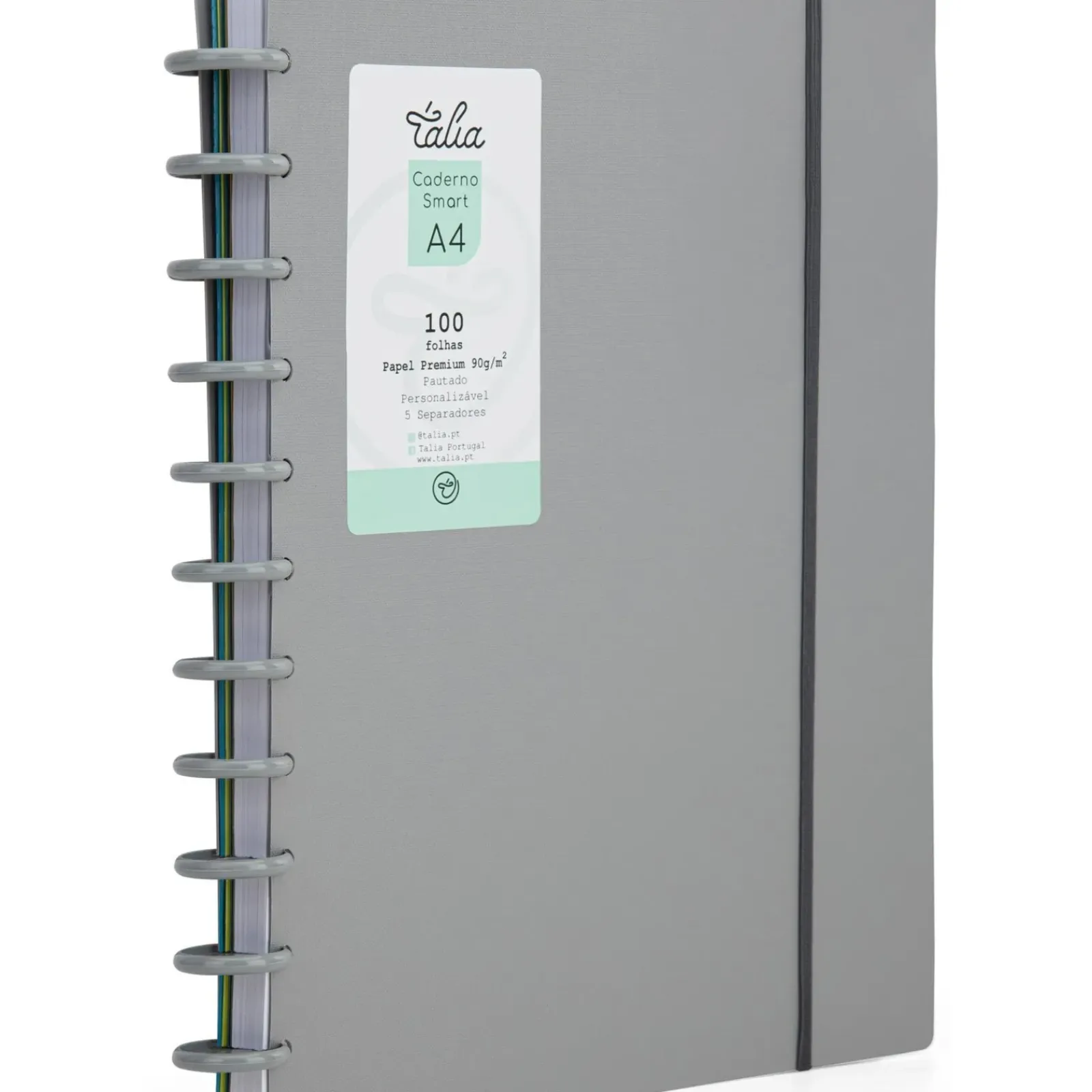 Discount Talia Caderno Smart A4 com Elástico 100 Folhas Cinzento
