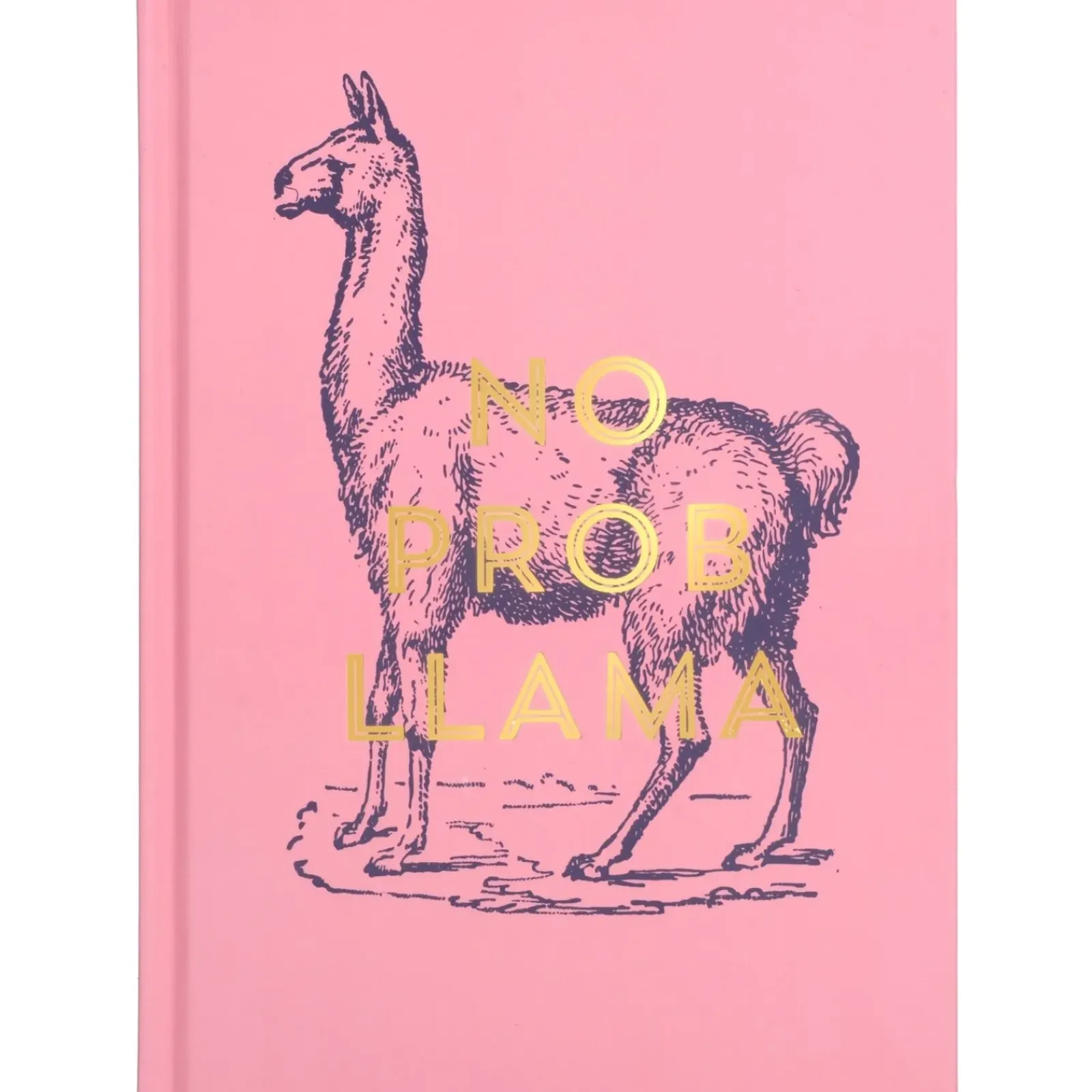New Designworks Caderno Vintage Sass - No Prob Llama