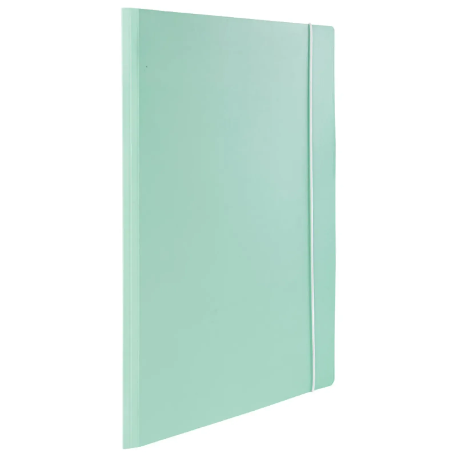 Note! Capas E Classificadores > Capa A3 com Elástico Pastel (artigo sortido)