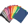 Oxford Capas E Classificadores > Capa com Elástico A4 Cart Top File+ Vivas
