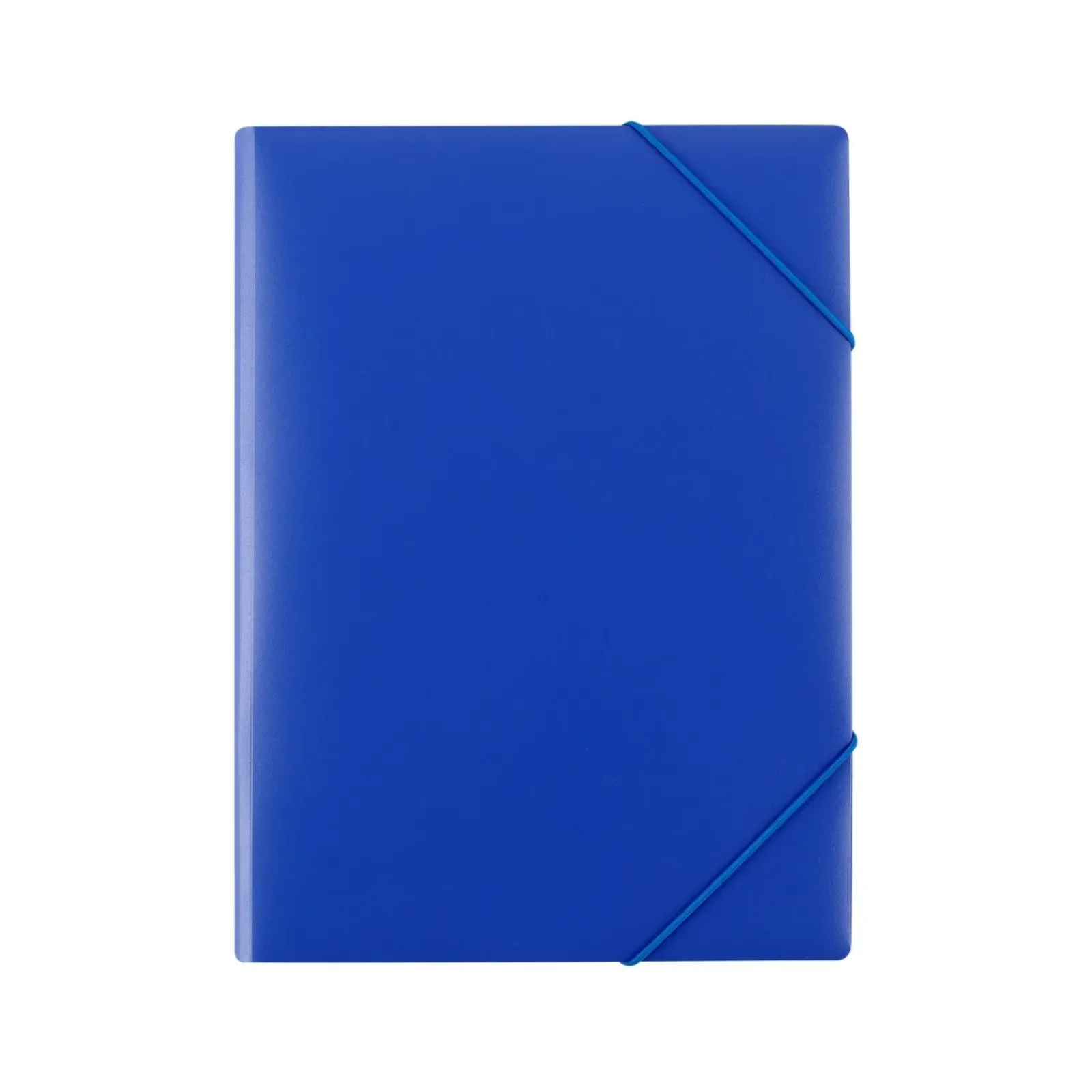 Note! Capas E Classificadores > Capa com Elásticos A4 (artigo sortido)