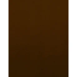 Paperpoint Papéis Especiais > Cartolina 50X70Cm 180G Castanho