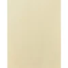 Paperpoint Papéis Especiais > Cartolina 50X70Cm 180G Creme
