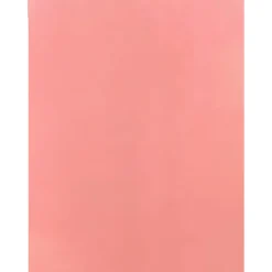 Paperpoint Papéis Especiais > Cartolina 50X70Cm 180G Rosa