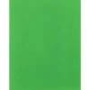 Paperpoint Papéis Especiais > Cartolina 50X70Cm 180G Verde Intenso