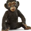 Schleich Schleich|Colecionáveis > Chimpanzé Cria