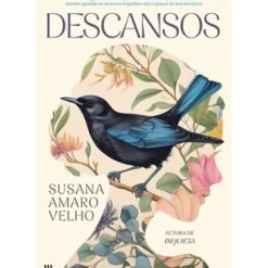 Online Casa Das Letras Descansos de Susana Amaro Velho