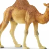 Schleich Schleich|Colecionáveis > Dromedário