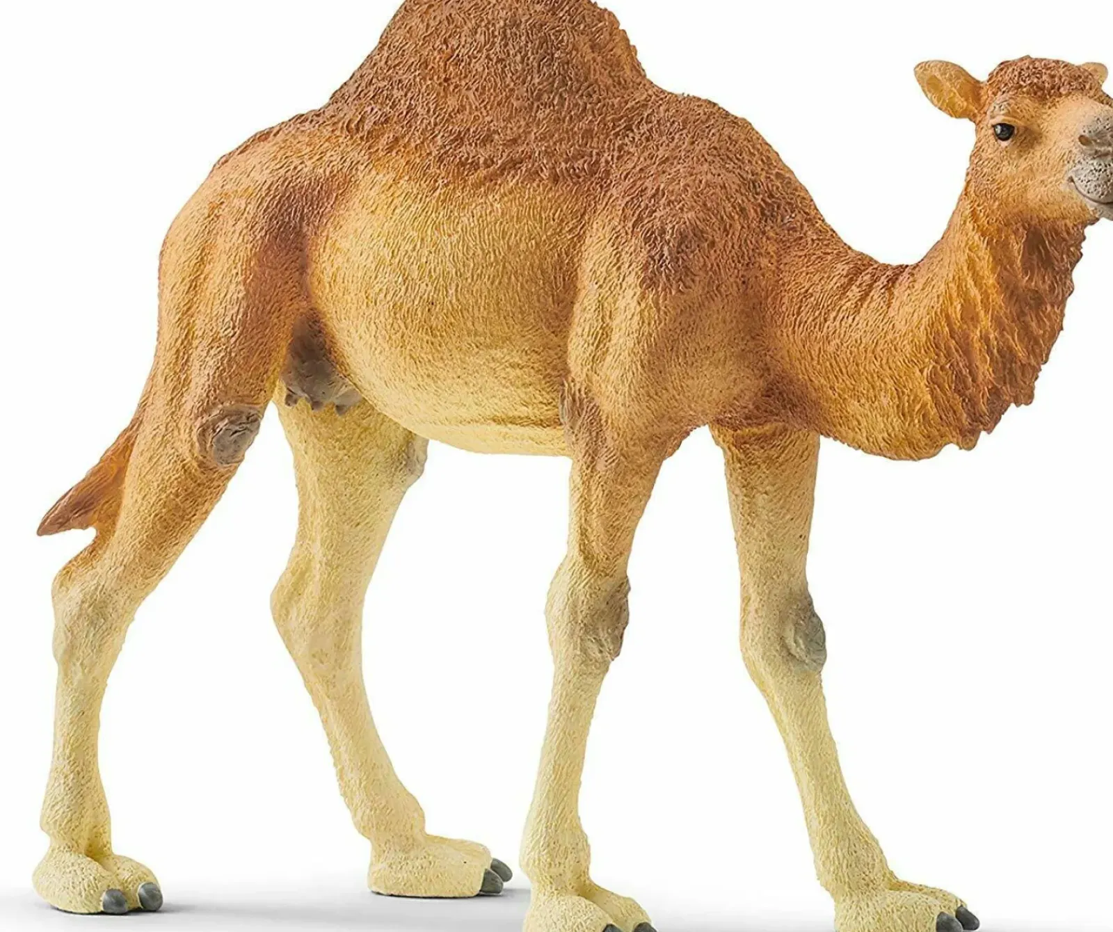 Schleich Schleich|Colecionáveis > Dromedário