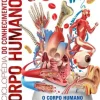 Sale Texto Editores Enciclopédia do Conhecimento - Corpo Humano de Dorling Kindersley - O Corpo Humano Explorado ao Pormenor