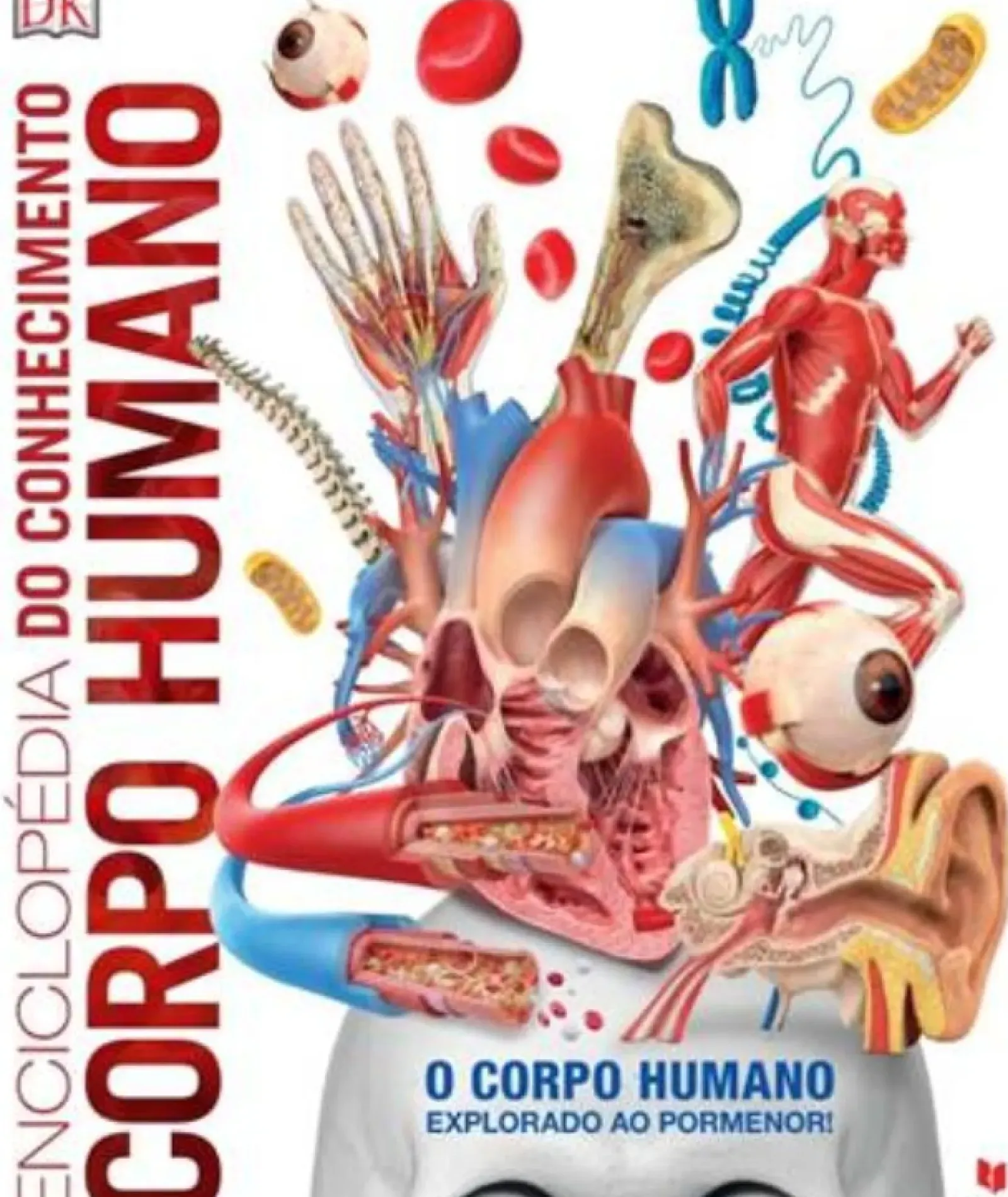 Sale Texto Editores Enciclopédia do Conhecimento - Corpo Humano de Dorling Kindersley - O Corpo Humano Explorado ao Pormenor
