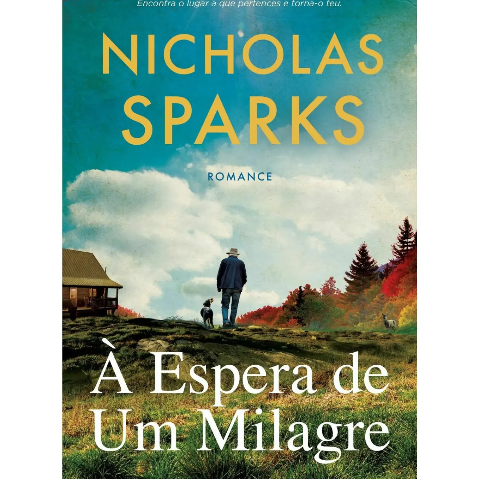 Asa Romance > À Espera de um Milagre de Nicholas Sparks