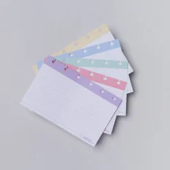 Caderno Inteligente Cadernos E Recargas|Cadernos De Disco > Folhas Pautadas Inteligentes 4X6 50 Folhas