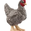 Schleich Schleich|Colecionáveis > Frango Plymouth Rock