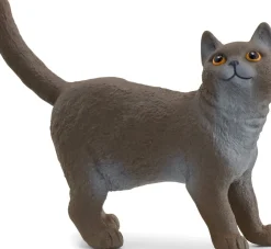 Hot Schleich Gato Británico De Pelo Curto