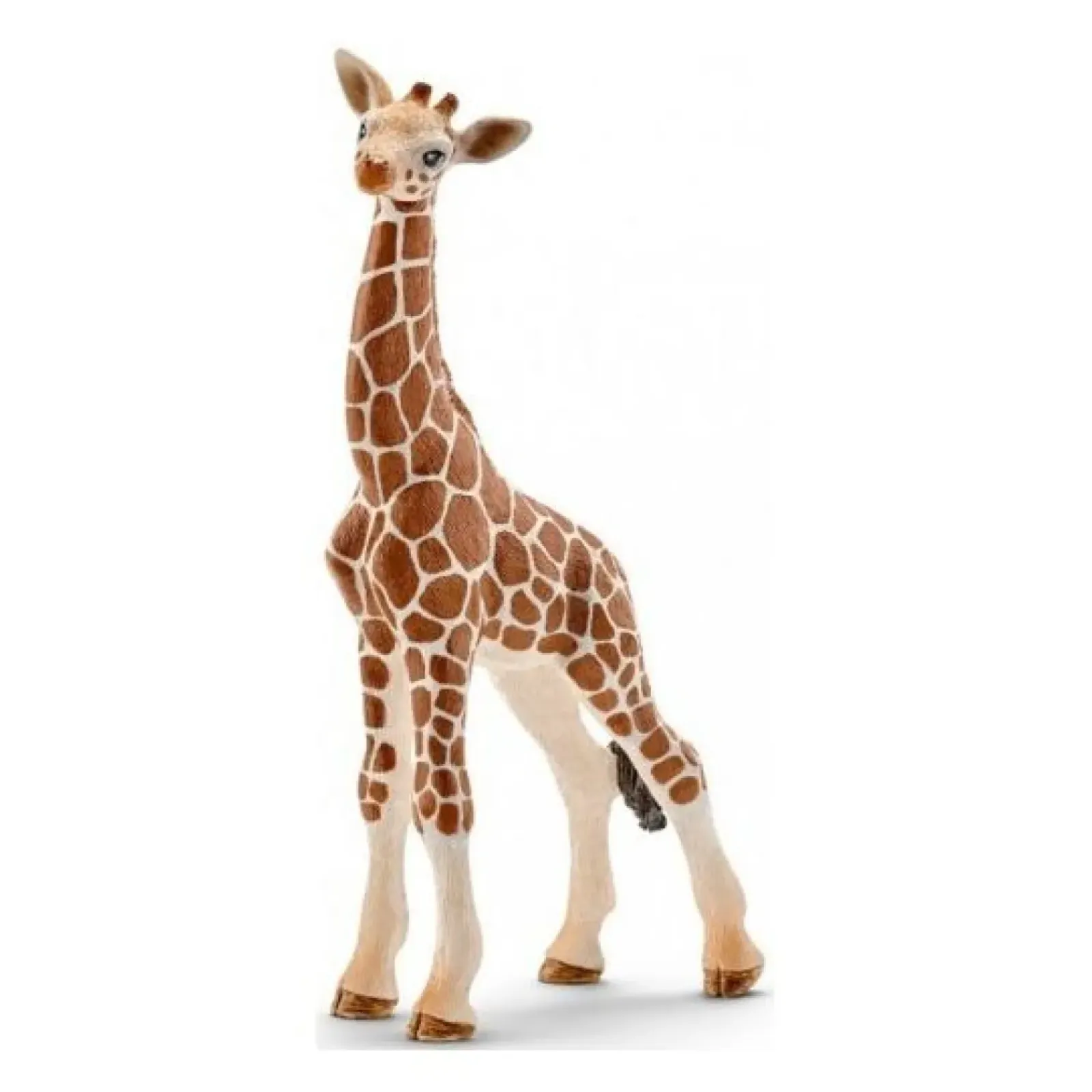 Schleich Schleich|Colecionáveis > Girafa Cria